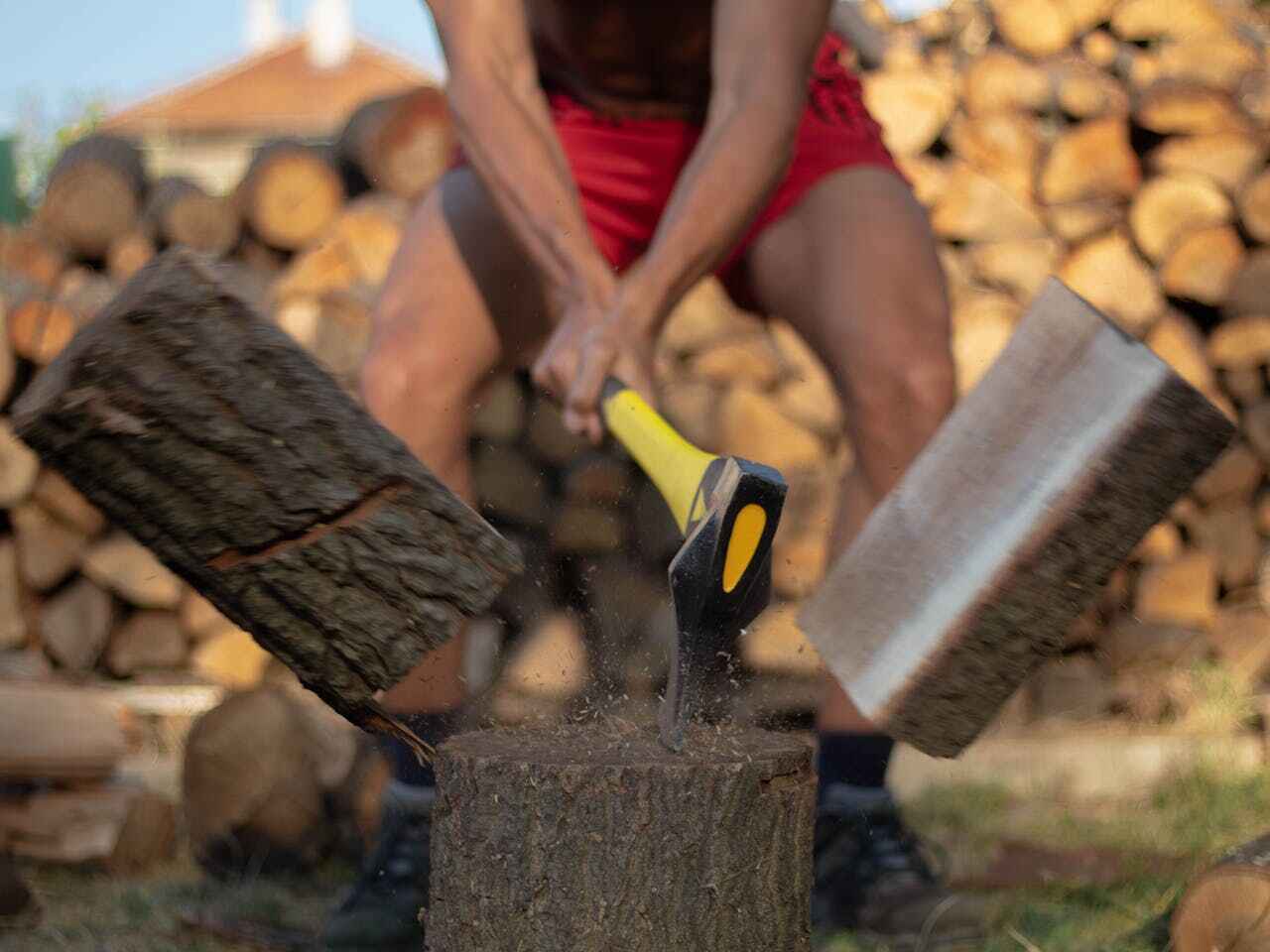 Warsaw, IN Tree Service Company